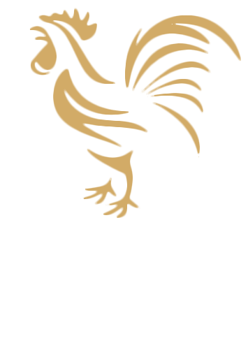 Verrücktes Huhn Logo